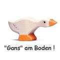 Gans am Boden