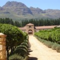 The Cast of Culture in South Africa by Gregory Hudson 