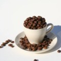 Good to the Last Drop: Coffee Culture Is Alive and Well in the US
