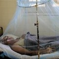 Surge in Dengue Fever Raises Alarm in Southeast Asia 