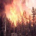 après l'incendie, la vie