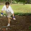 Much About Mulch