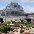 Stopping to Smell the Roses, and a Lot More, at the U.S. Botanic Garden