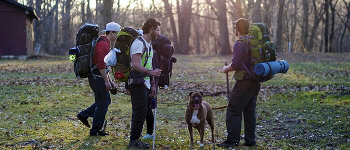 German Conjugation: A Walk in the Park