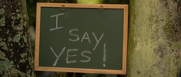 Mastering the Simple Present Tense in English
