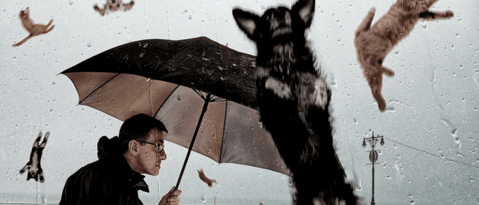 20 Russian Idioms to Get Your Head Around