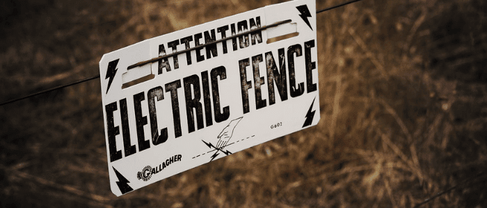 9 Funny Chinese Proverbs