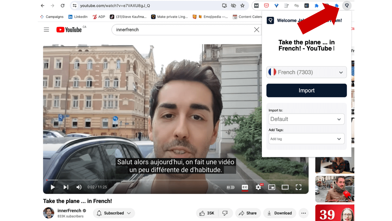 Importing Your Favourite YouTube Videos into LingQ