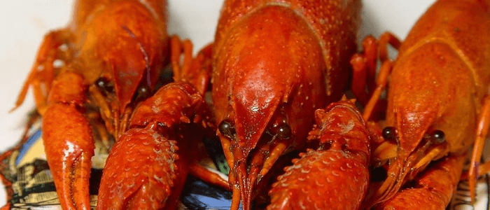 29 Russian Idioms to Get Your Head Around