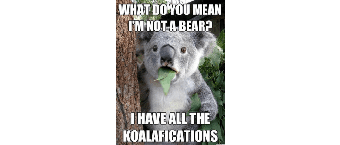 Koala