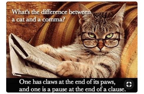 17 English Language Memes to Spark Your Fluency - LingQ Blog